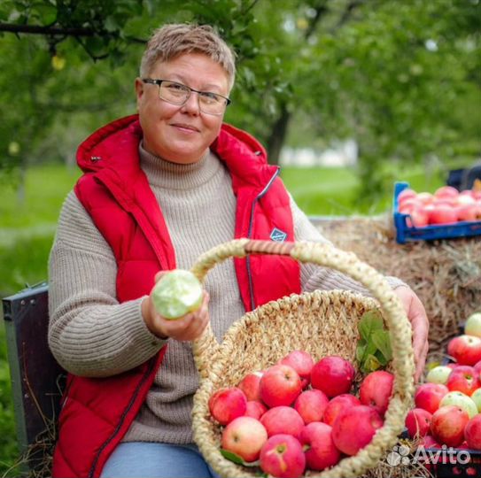 Эдерман яблони красномясые саженцы окс