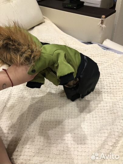 Куртка для маленькой собаки