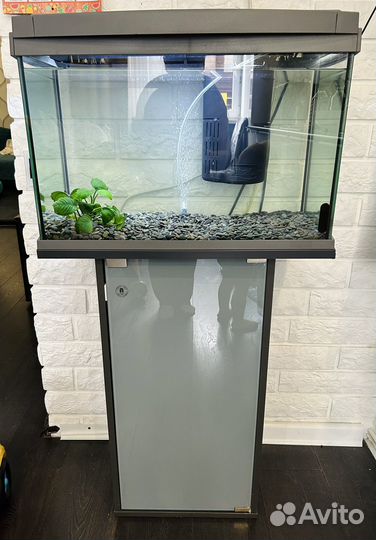 Аквариум Tetra 60 литров