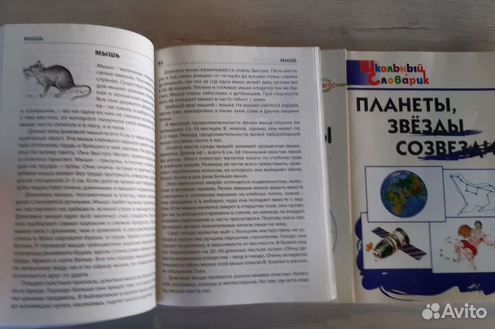 Школьный словарик