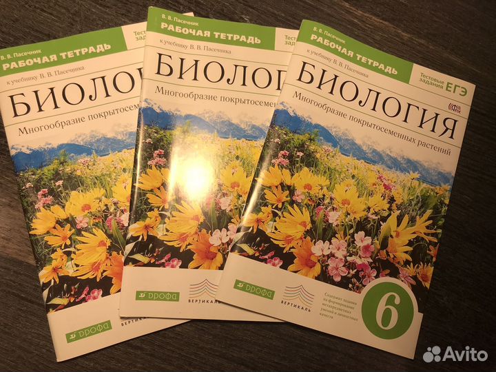 Рабочие тетради новые 6 класс