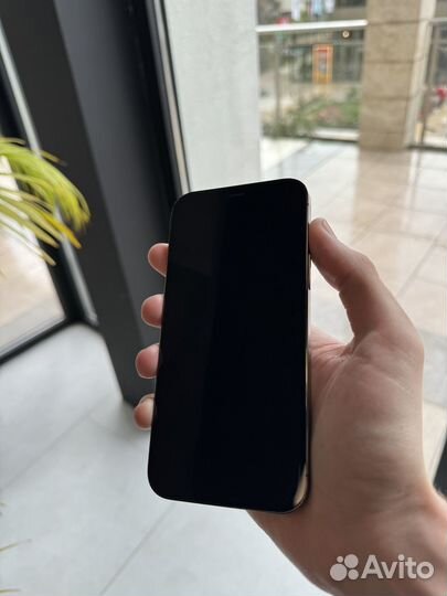 iPhone 12 Pro, 256 ГБ