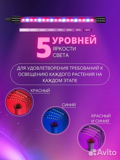 Фитолампа светодиодная на прищепке с таймером