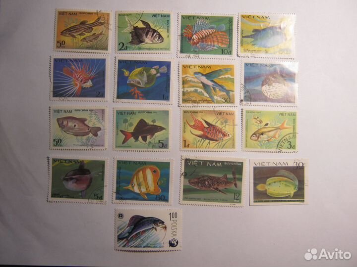 Серия марок Рыбы