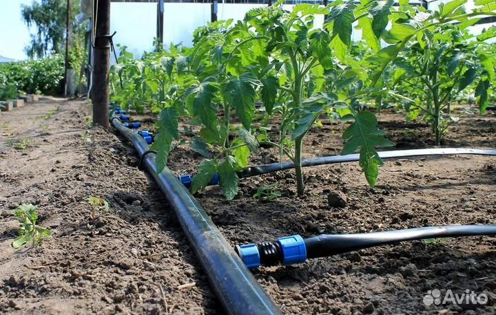 Капельный полив 