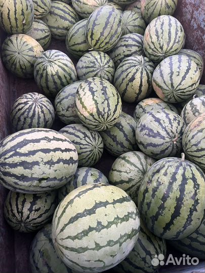 Арбузы