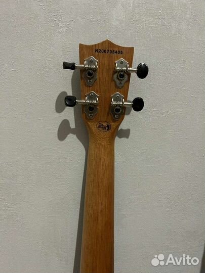 Укулеле flight концерт