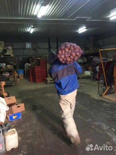 Разнорабочий