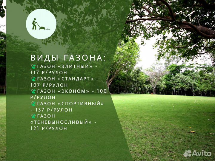 Рулонный газон элитный