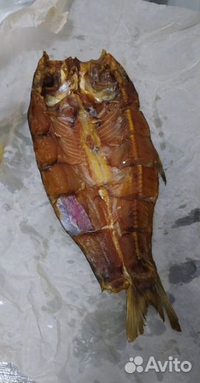 Сом, жерех и толстолобик балык холодного копчения