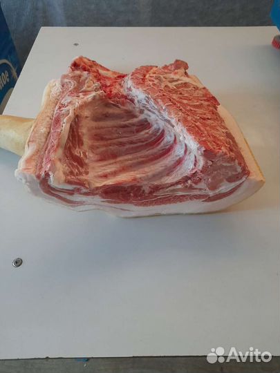Продам мясо свинины
