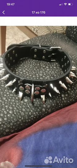 Ошейник для собак