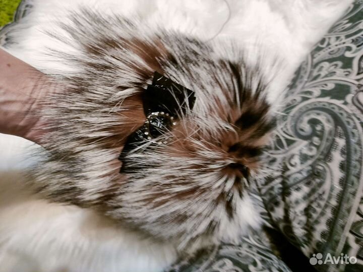 Шапка зимняя женская