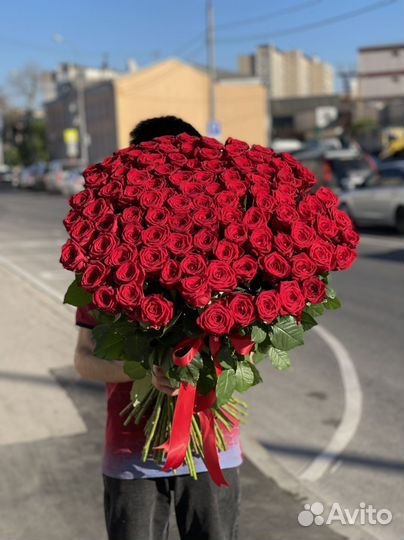 Роза 101шт 80см