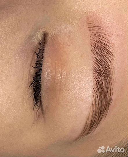 Мастер бровист