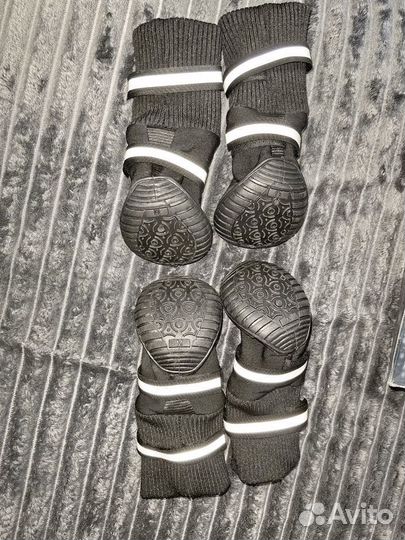 Ботинки для собак