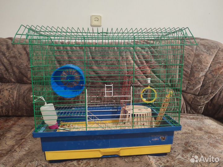 Клетка для хомяка.Хомяк в подарок
