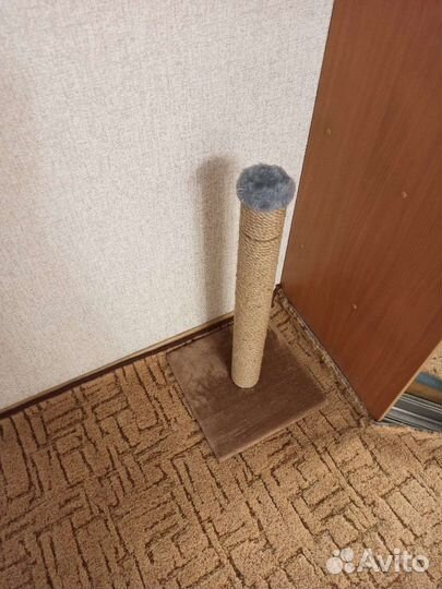 Когтеточка