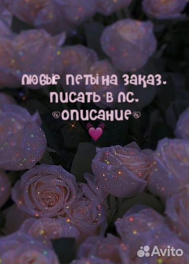 Петы на заказ