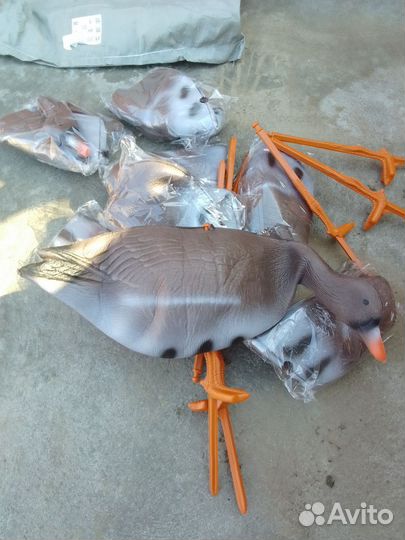 Гуси для охоты