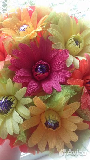 Сладкие герберы