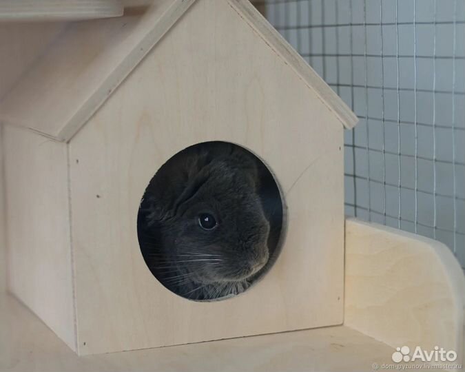 Домики и колеса для грызунов