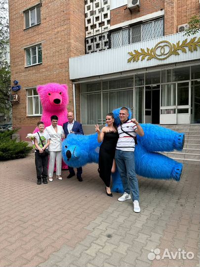 Белый мишка панда аниматор поздравление