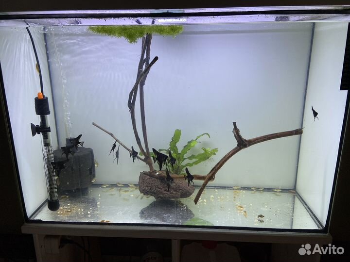 Аквариум 120 литров
