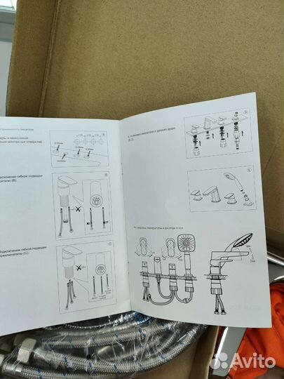 Cezares laconico-C-bvdm-01
