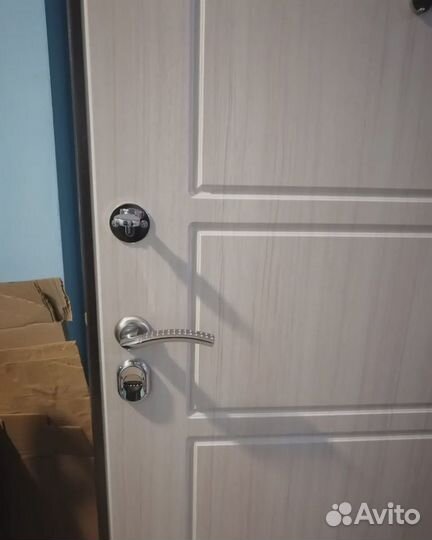 Дверь входная В5