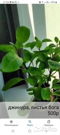 Съедобная экзотика