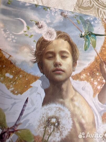 Книги вино из одуванчиков