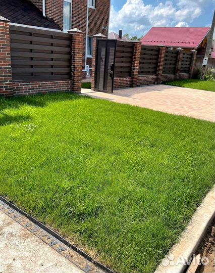 Рулонный газон