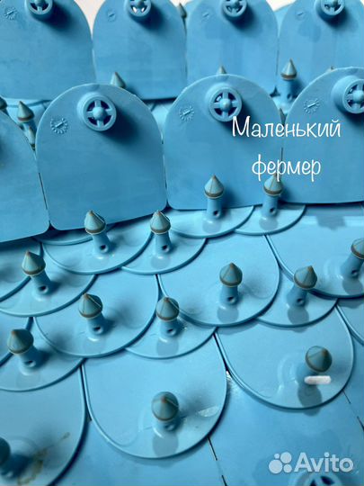 Ушная бирка для животных