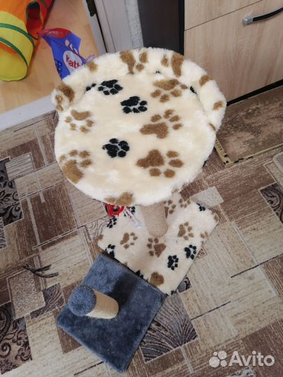 Когтеточка