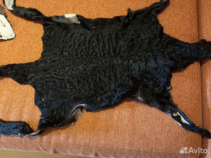 Каракуль шкурки