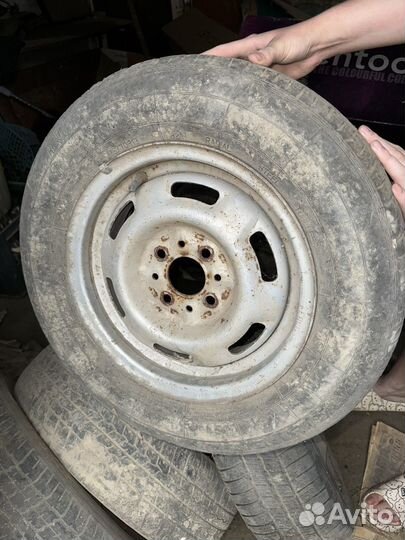 Белшина Бел-80 11.5/70 R14 34G