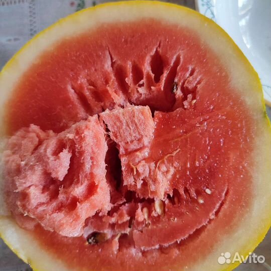 Семена арбуза Подарок солнца