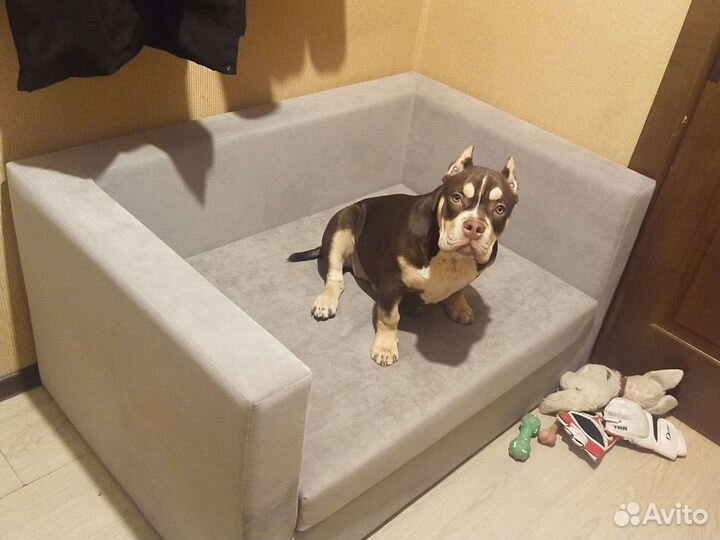 Диван кровать для собак и кошек лежанка
