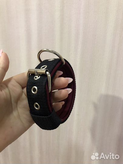 Ошейник для собак