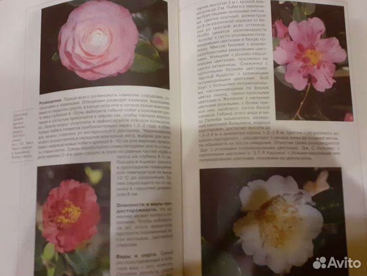 Книга по садоводству