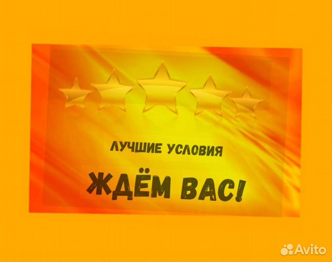 Наборщик заказов Без опыта Еженедельные выплаты