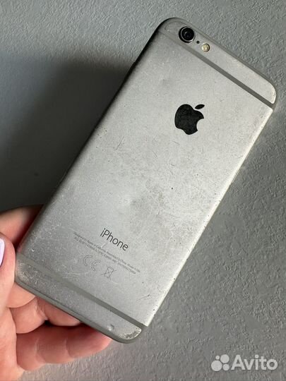 iPhone 6