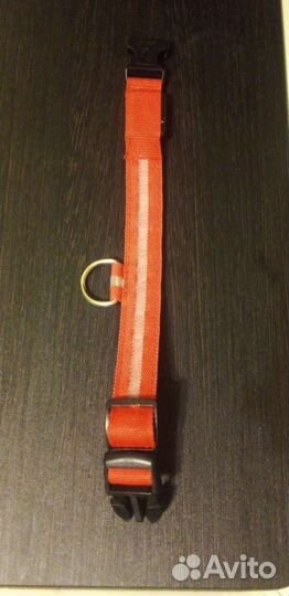 Ошейник с подсветкой