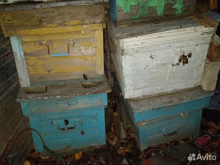 Улей для пчел