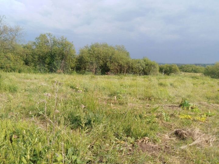 Участок 25 сот. (ИЖС)