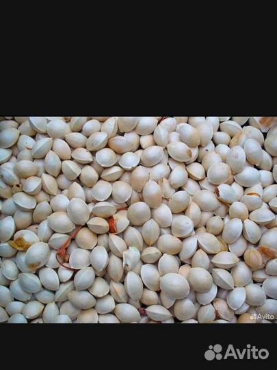 Декоративные орешки