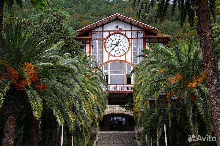 Экскурсия Золотое кольцо Абхазии / Новый Афон