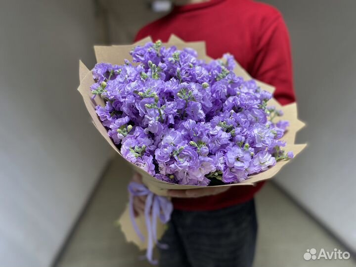 Букет из 15шт матиола/ букеты/ розы/ гипсофила