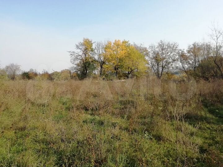 Участок 50 сот. (ИЖС)